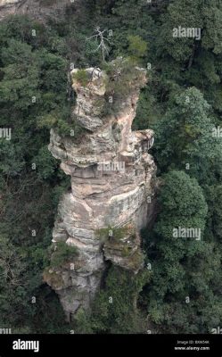  Huludao Jinjialing National Forest Park, en avlång oas med magnifik utsikt över havet!