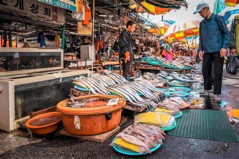  Jagalchi Fish Market - En livlig upplevelse för alla sinnen!