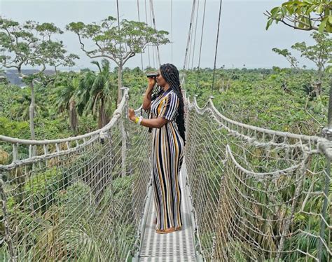 Lekki Conservation Centre: En Oas av Vackra Växtligheter och Intressanta Djurliv!